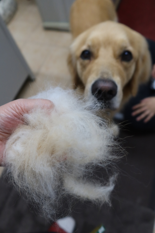 ファイル 8068-4.jpg