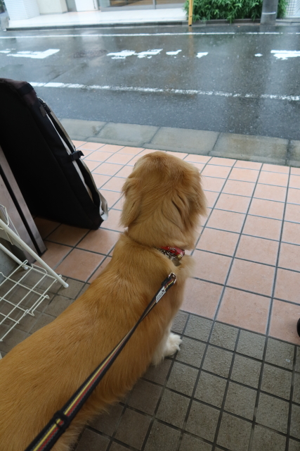 ファイル 8069-4.jpg