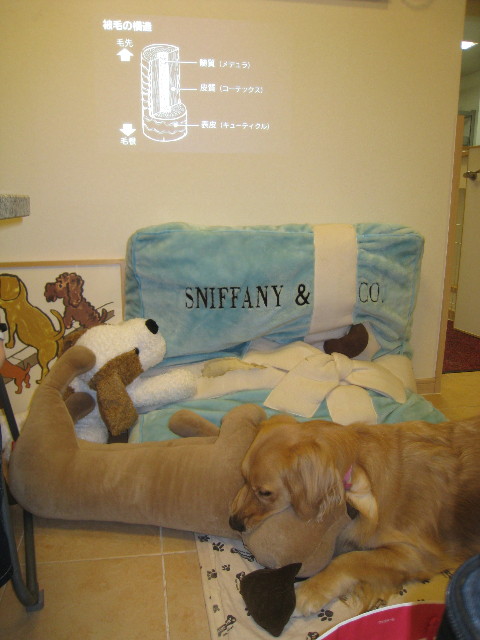 ファイル 807-1.jpg