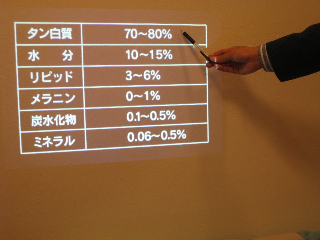 ファイル 807-2.jpg