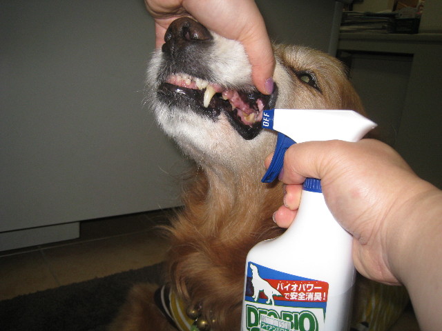 ファイル 807-5.jpg