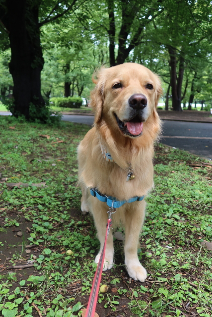 ファイル 8070-1.jpg