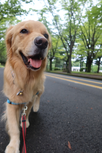 ファイル 8070-2.jpg