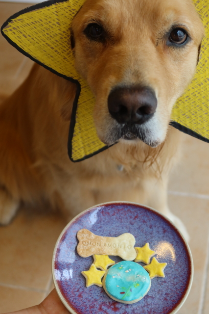 ファイル 8070-5.jpg