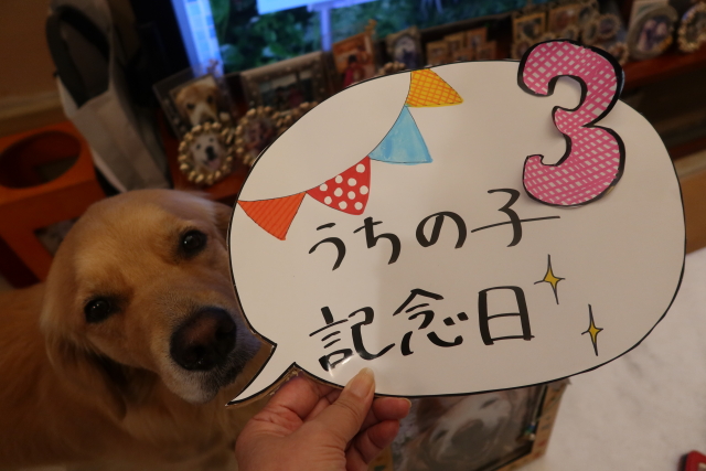 ファイル 8071-2.jpg