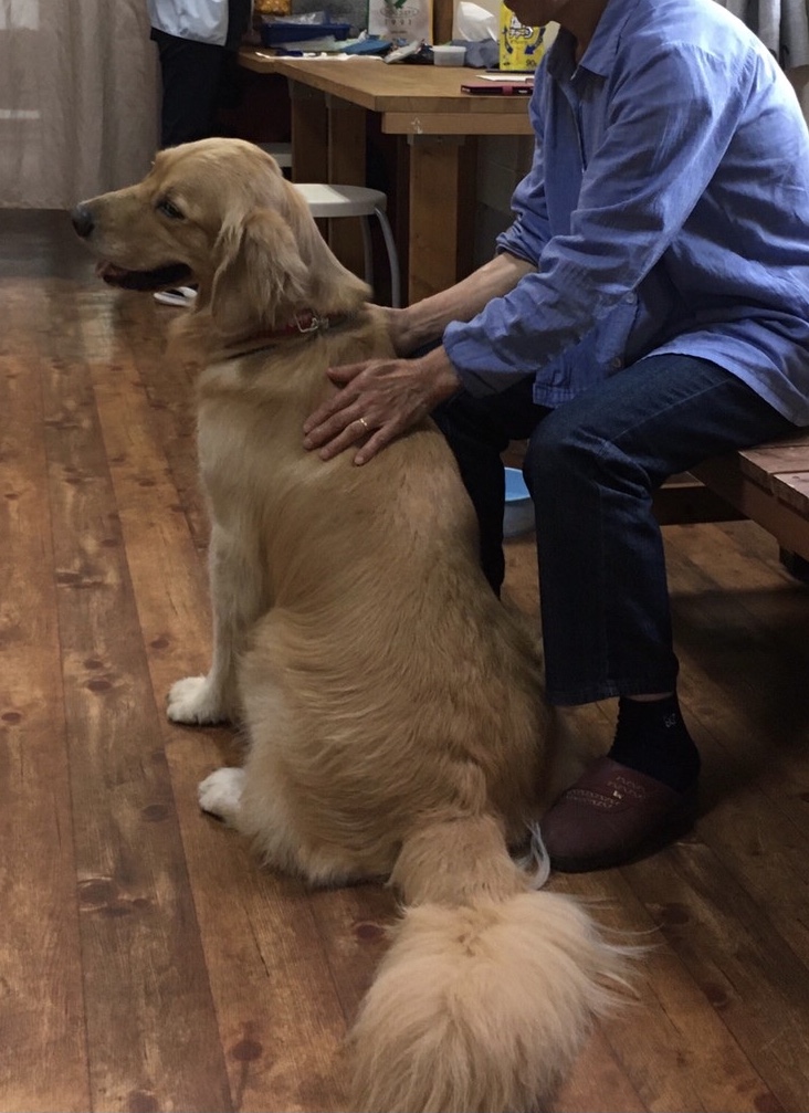 ファイル 8072-5.jpeg