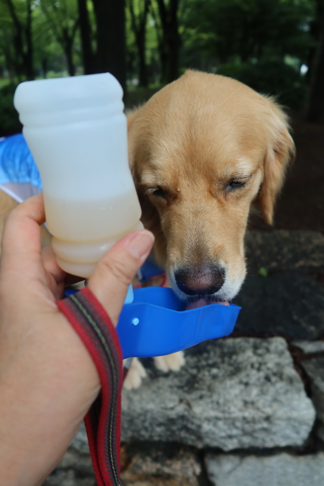 ファイル 8073-2.jpg