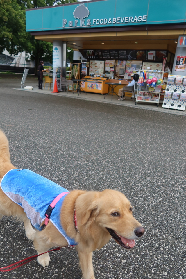 ファイル 8073-3.jpg