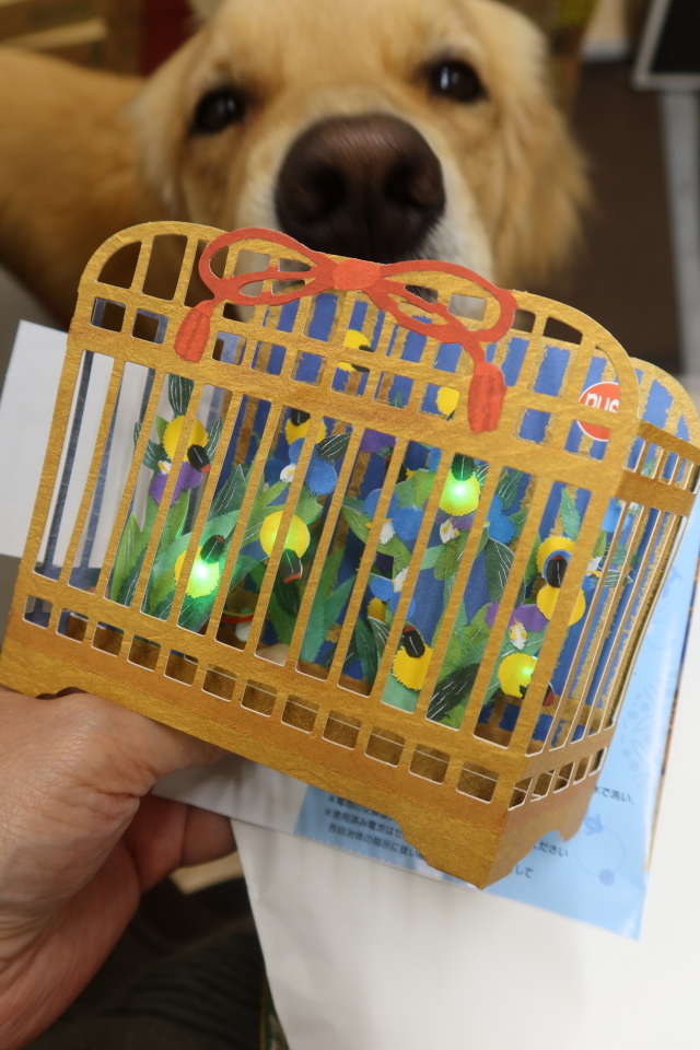 ファイル 8073-4.jpg