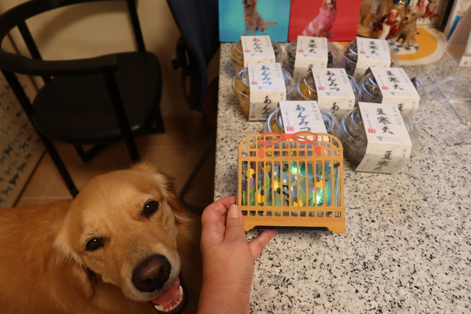 ファイル 8073-5.jpg