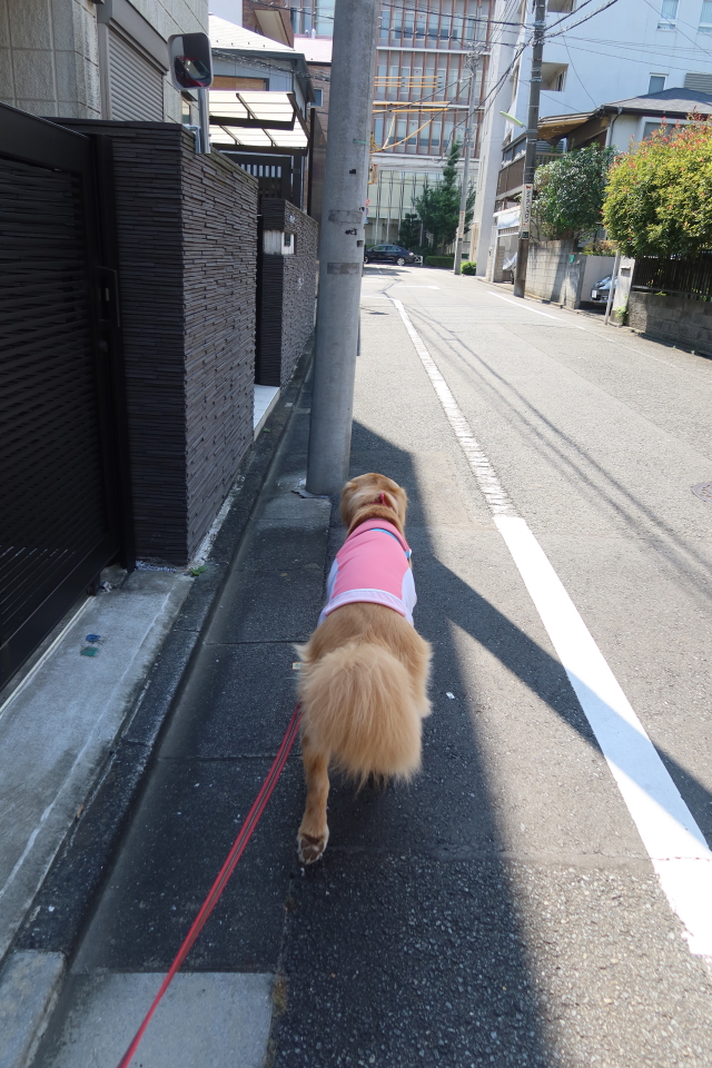 ファイル 8074-2.jpg