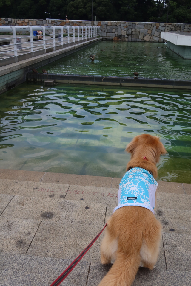 ファイル 8074-3.jpg