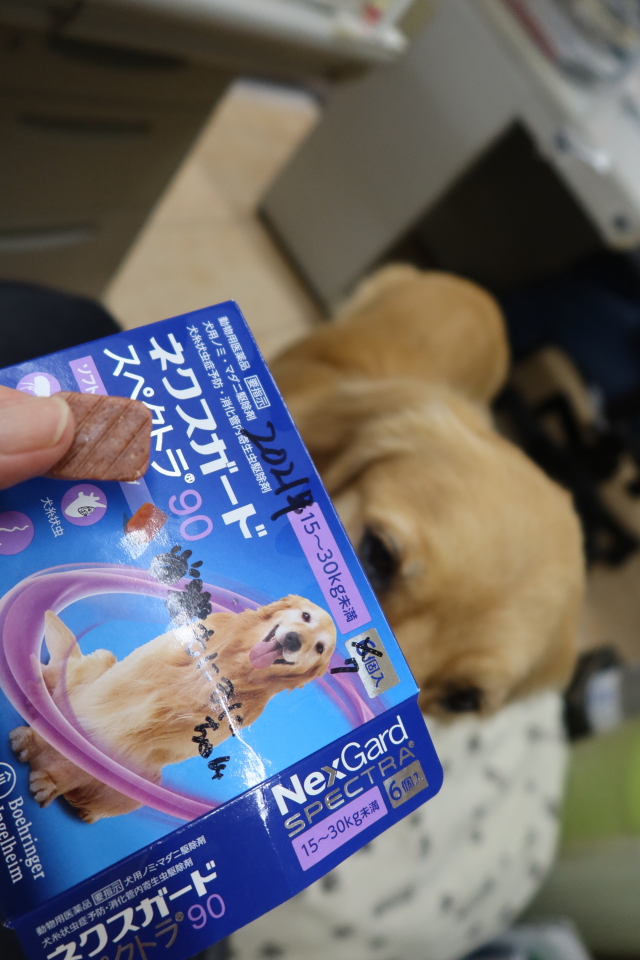 ファイル 8074-4.jpg