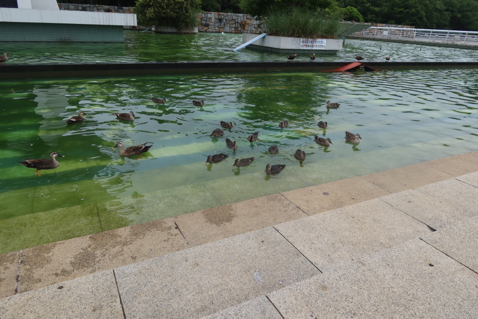 ファイル 8076-3.jpg