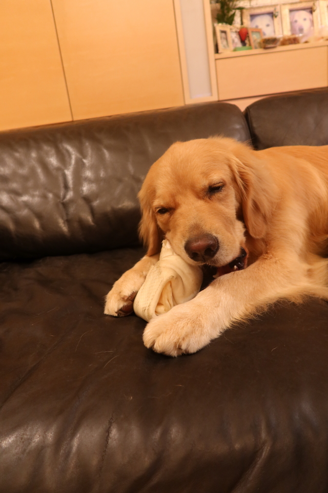 ファイル 8076-4.jpg