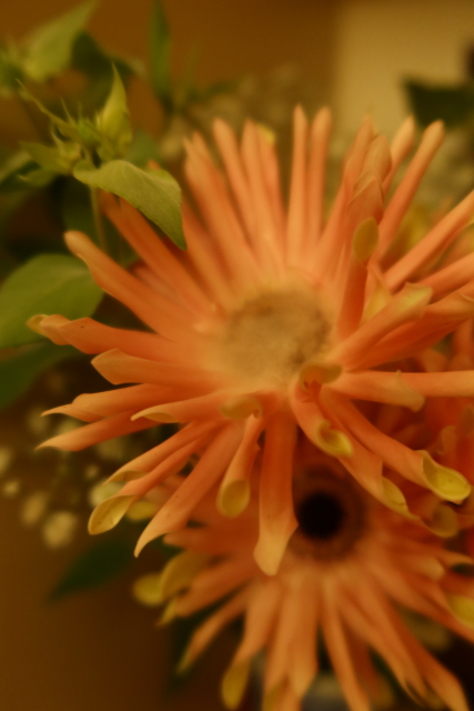 ファイル 8076-5.jpg