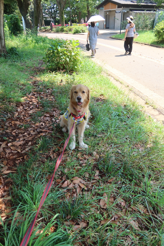 ファイル 8077-1.jpg