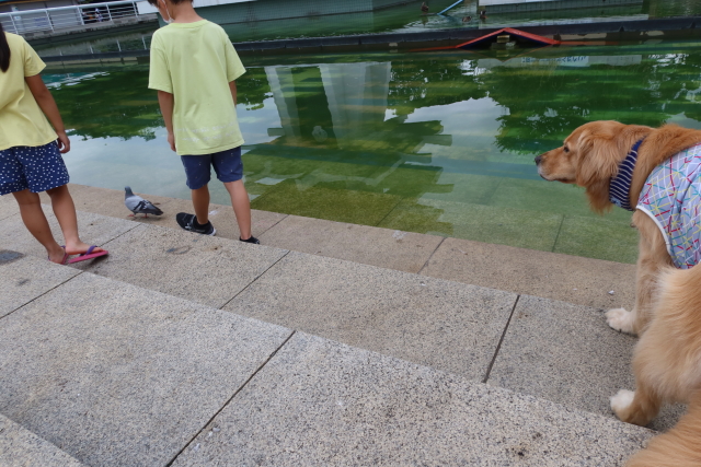 ファイル 8079-1.jpg