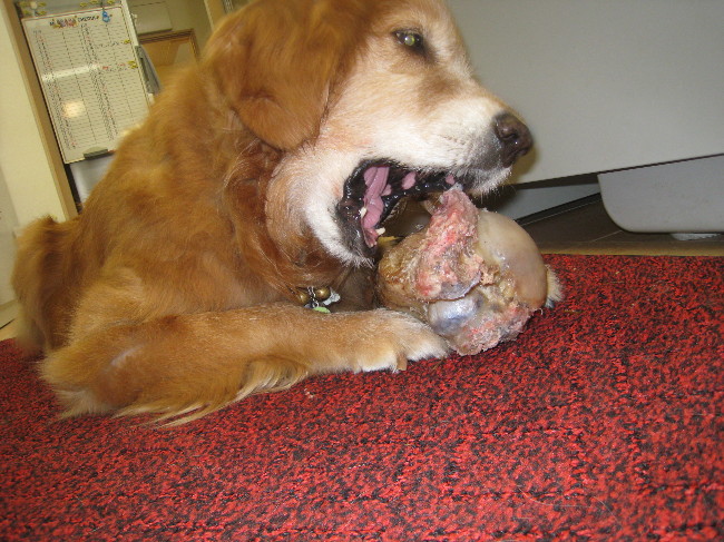 ファイル 808-2.jpg