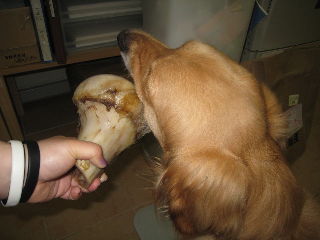 ファイル 808-5.jpg