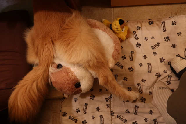 ファイル 8082-5.jpg