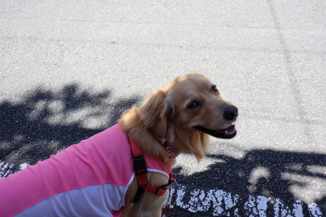 ファイル 8083-3.jpg