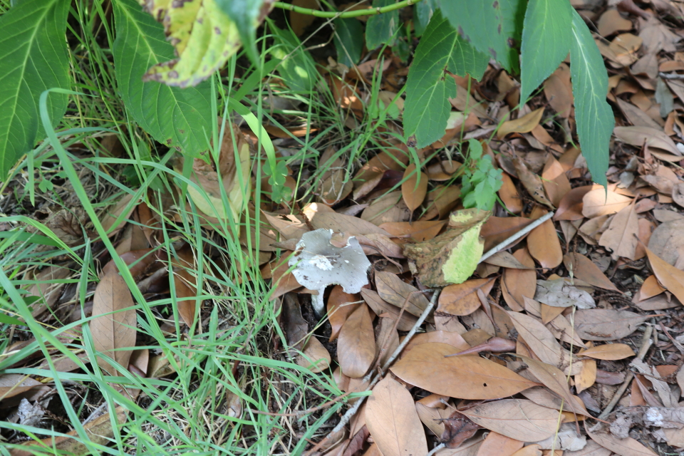 ファイル 8084-3.jpg