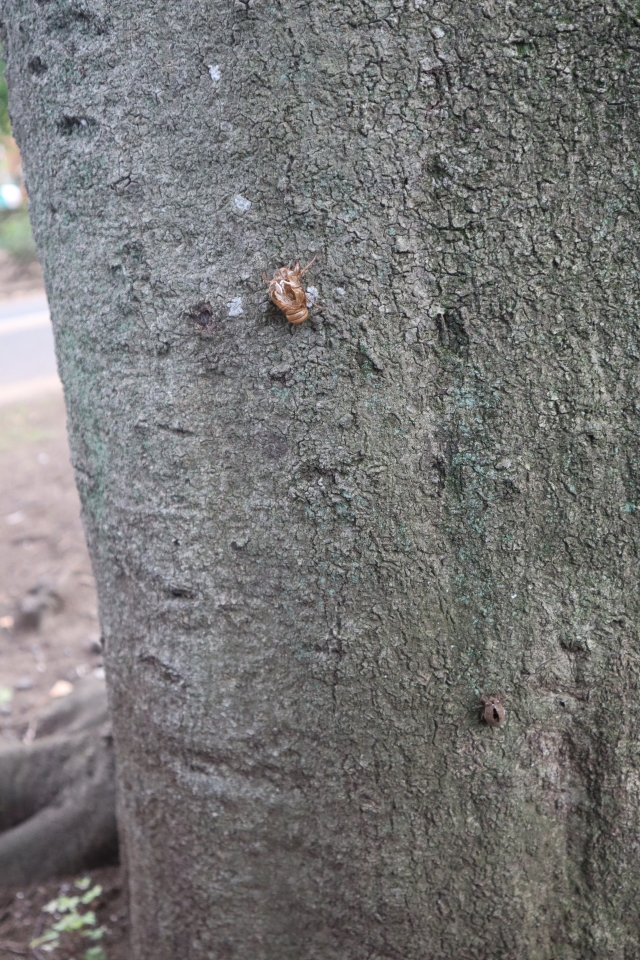 ファイル 8085-4.jpg