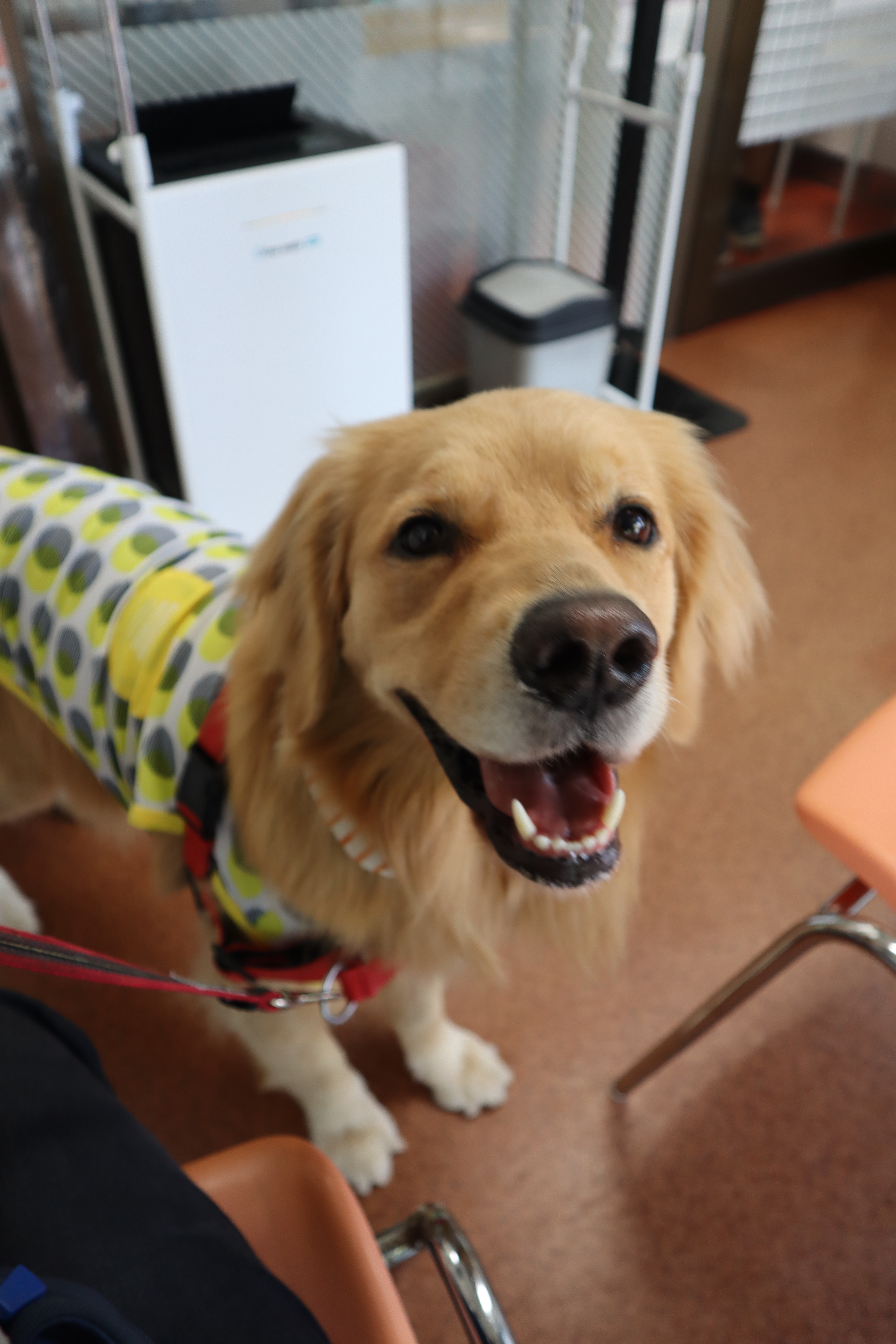 ファイル 8089-1.jpg