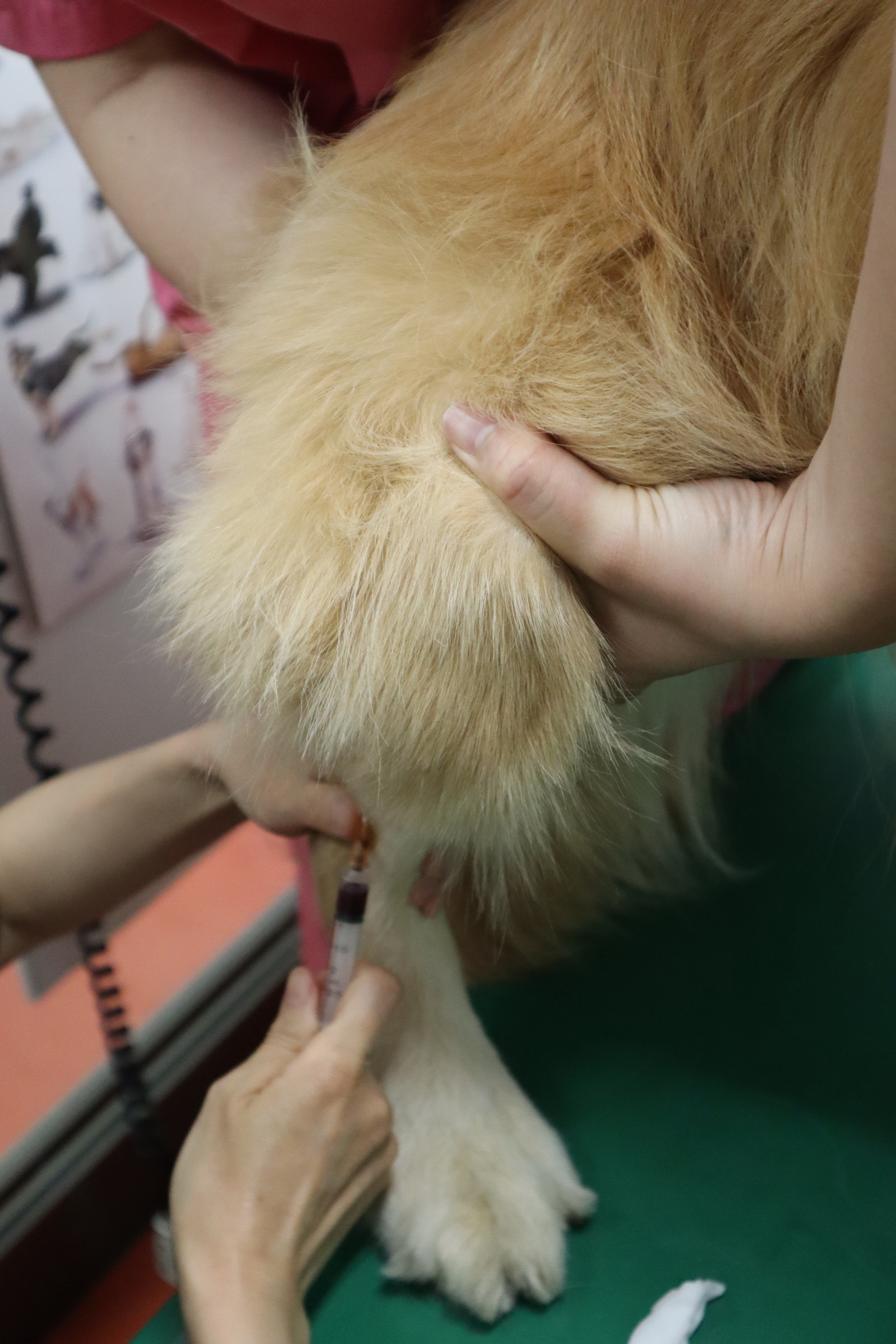 ファイル 8089-2.jpg