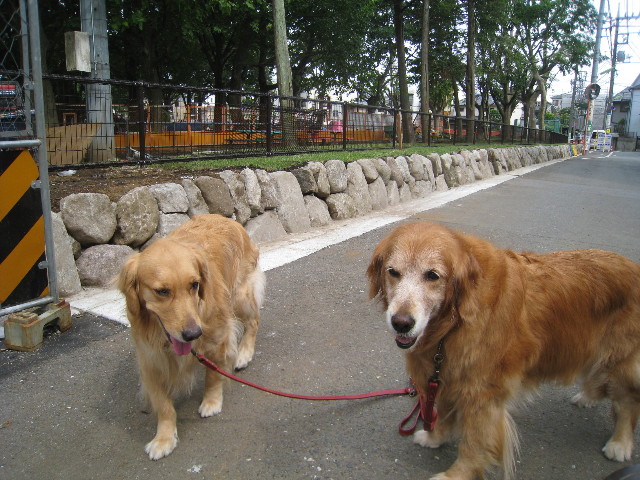 ファイル 809-2.jpg