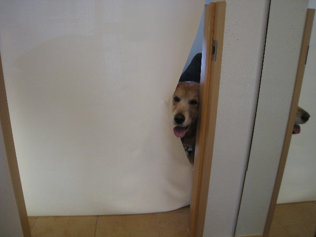 ファイル 809-4.jpg