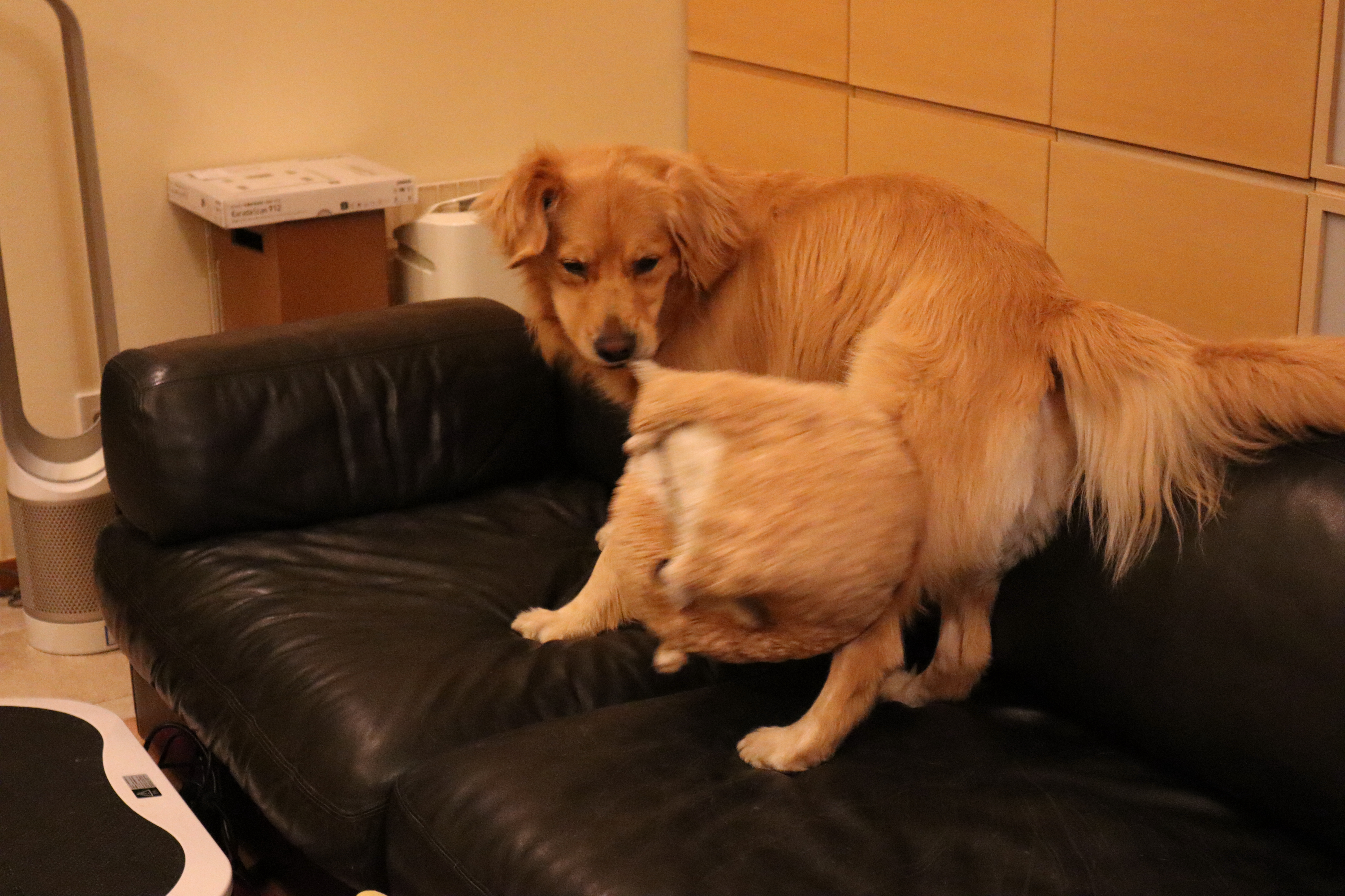 ファイル 8090-1.jpg