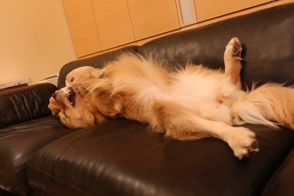 ファイル 8090-2.jpg