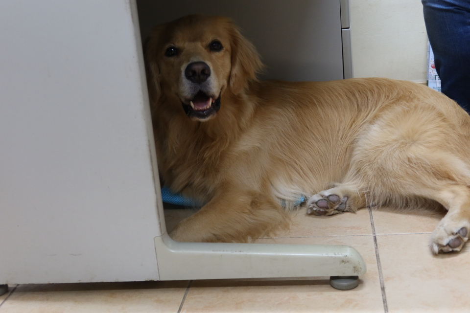 ファイル 8090-3.jpg