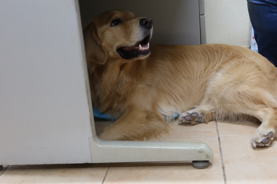 ファイル 8090-4.jpg