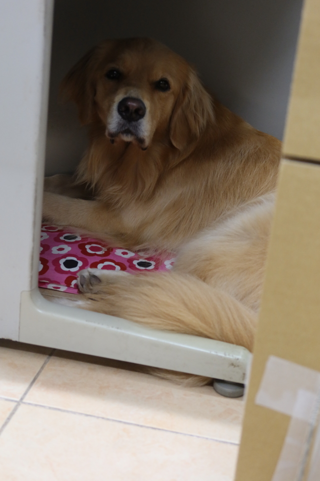 ファイル 8090-5.jpg