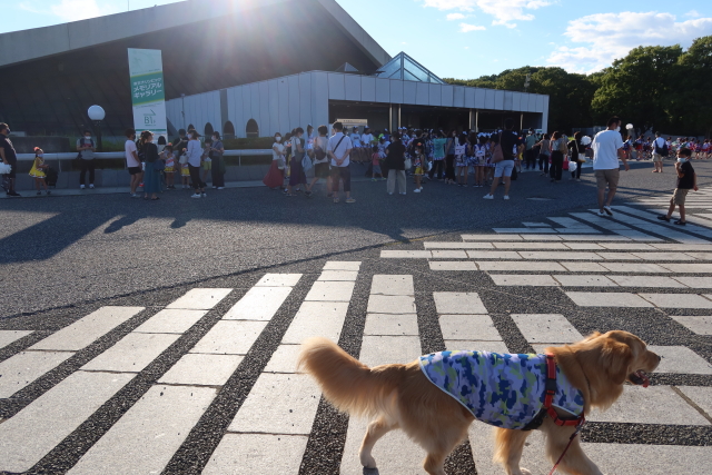 ファイル 8097-2.jpg