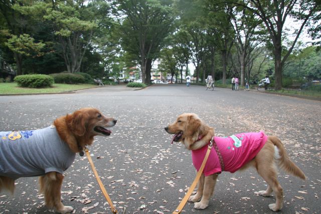 ファイル 81-3.jpg