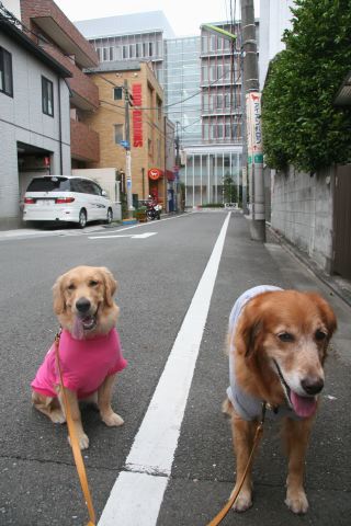 ファイル 81-5.jpg