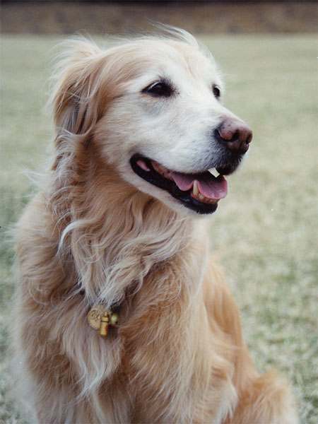 ファイル 8105-1.jpg