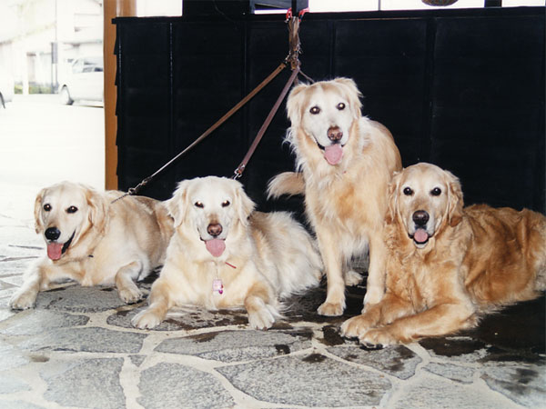 ファイル 8105-3.jpg