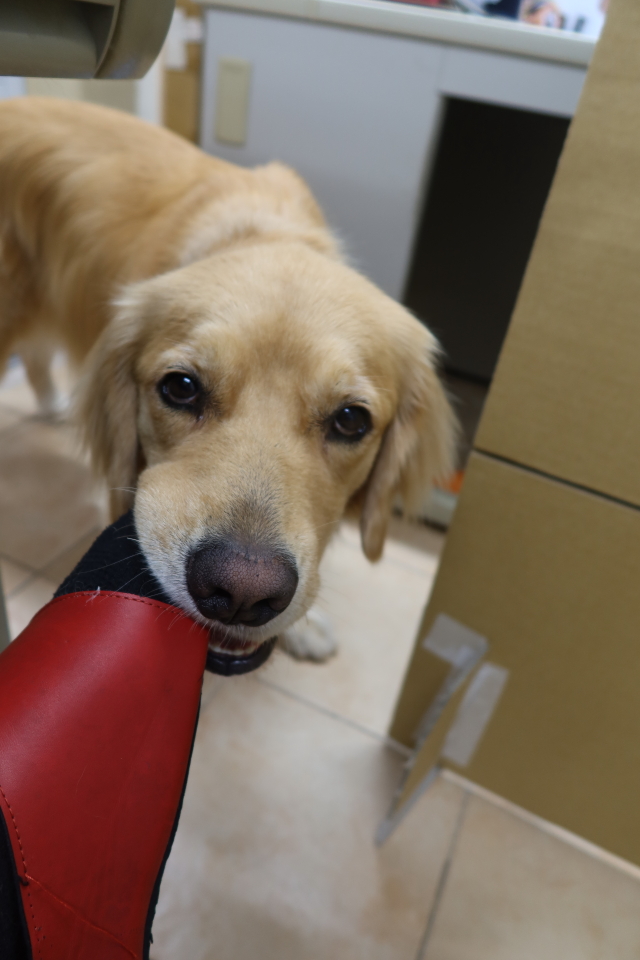 ファイル 8113-4.jpg