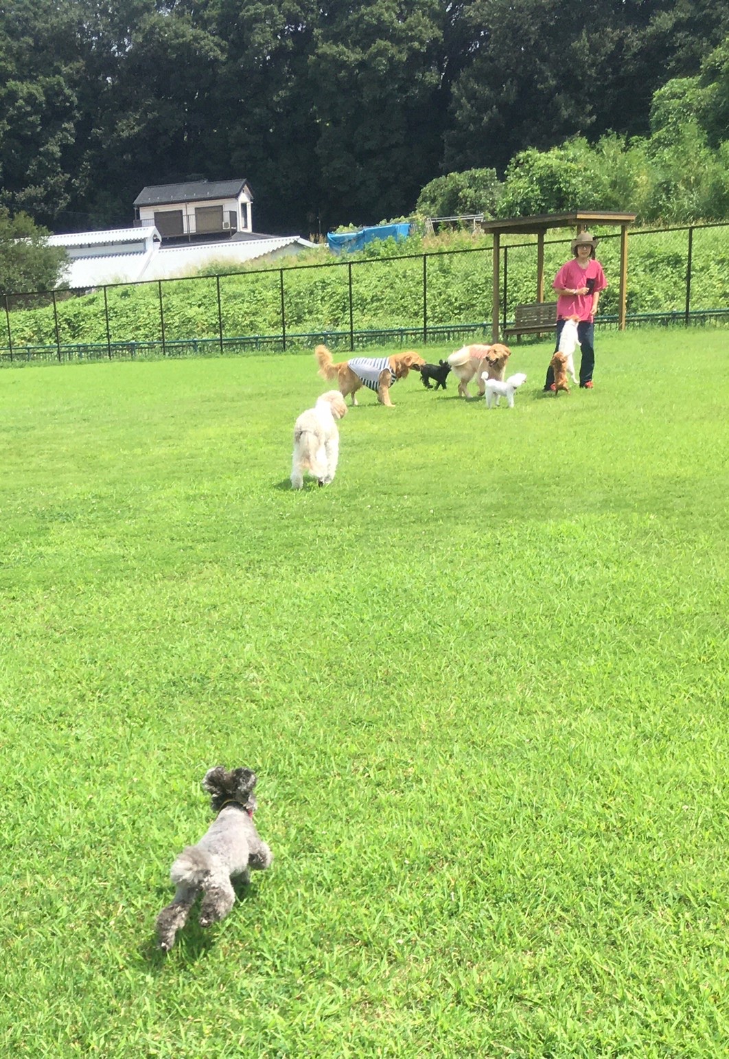 ファイル 8114-1.jpeg