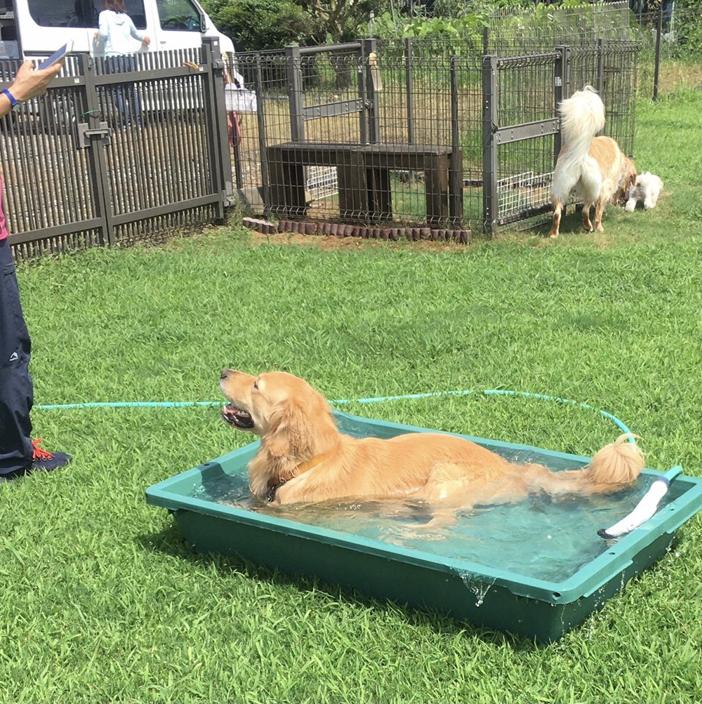 ファイル 8114-3.jpeg