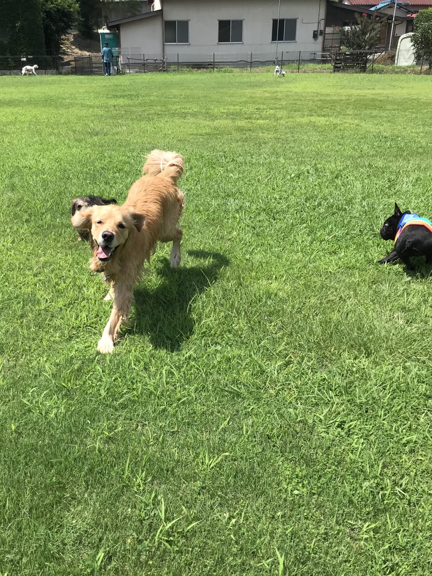 ファイル 8116-2.jpeg