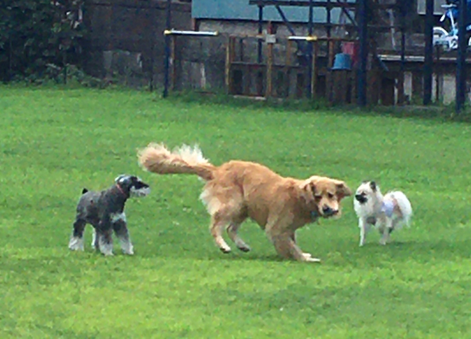 ファイル 8116-3.jpeg