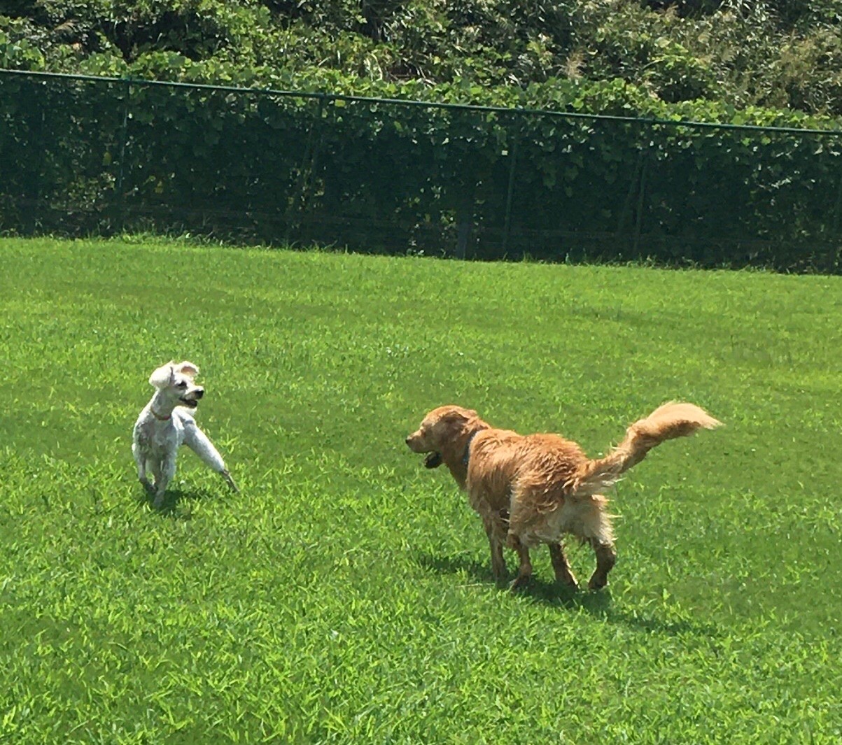 ファイル 8116-4.jpeg