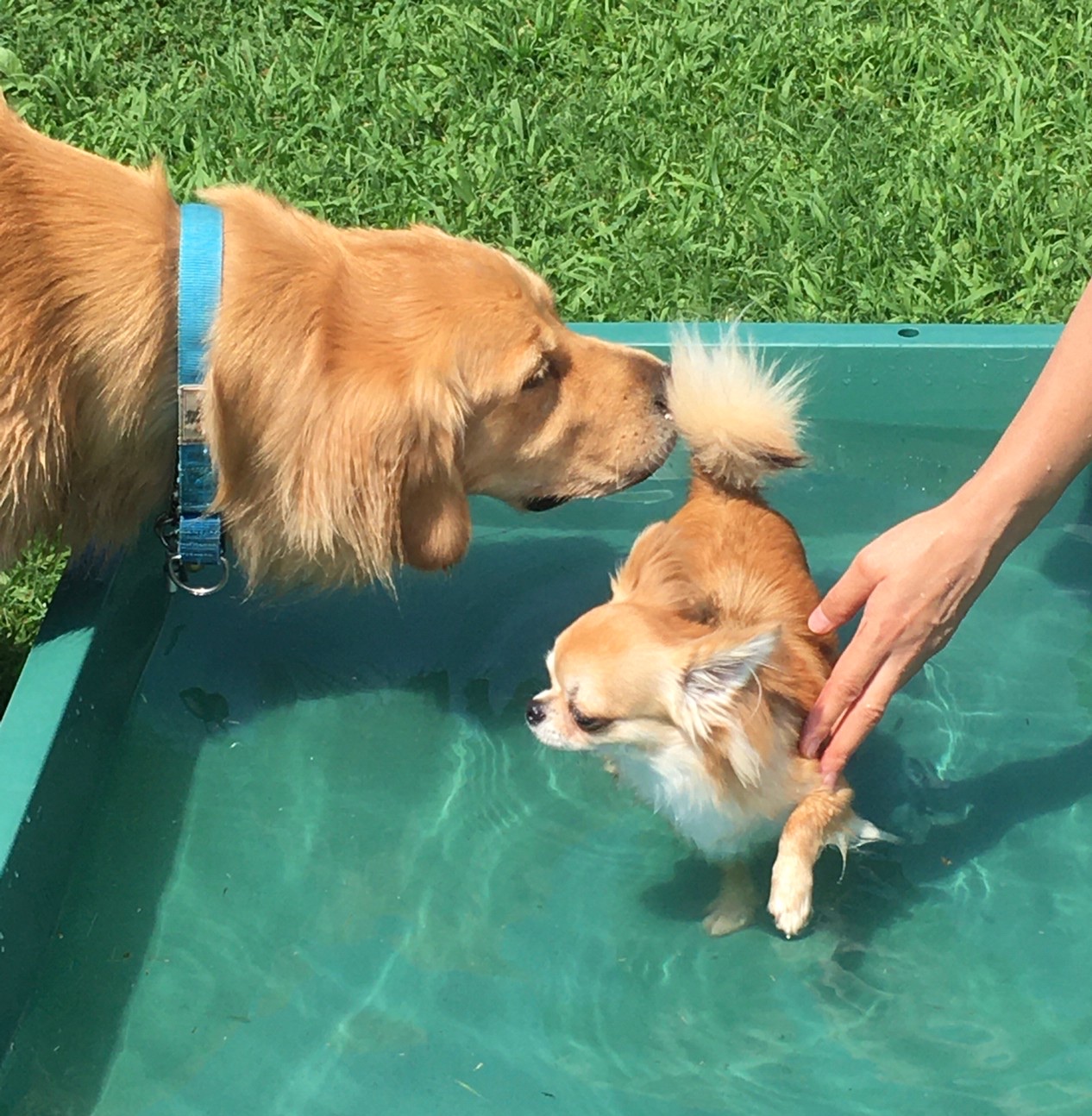 ファイル 8116-5.jpeg