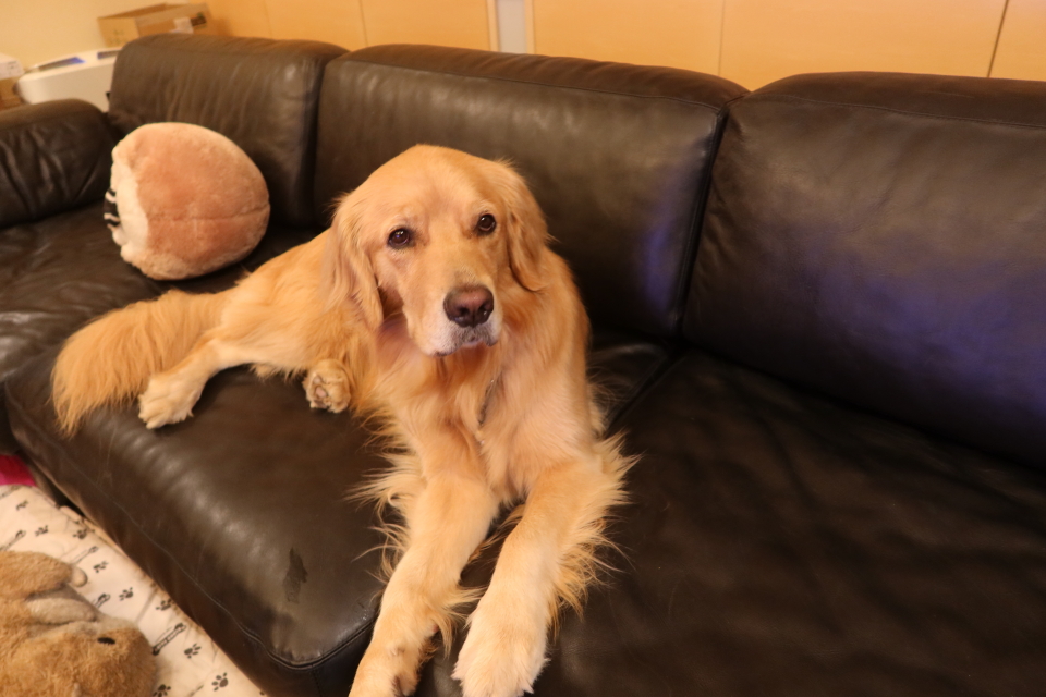 ファイル 8117-4.jpg